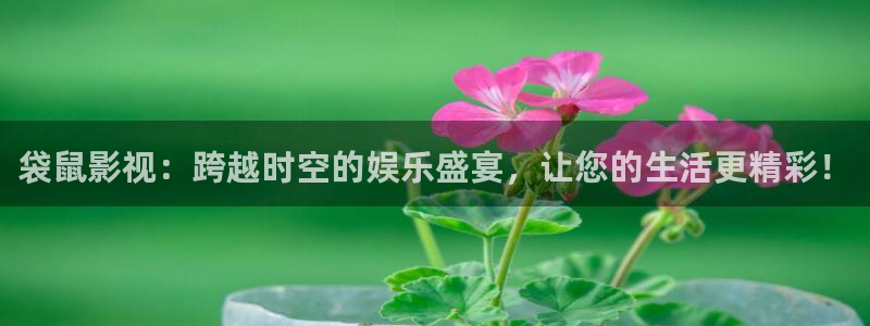 日韩电影免费观看飘雪：袋鼠影视：跨越时空的娱乐盛宴，让您的生活更精彩！