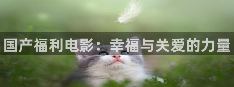 飘雪影院正版免费观看