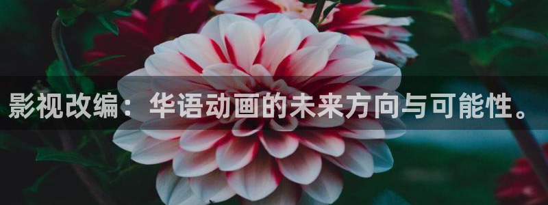 飘雪影视：影视改编：华语动画的未来方向与可能性。