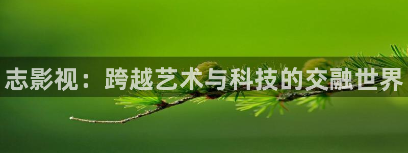 飘雪电视电影影院观看：志影视：跨越艺术与科技的交融世界