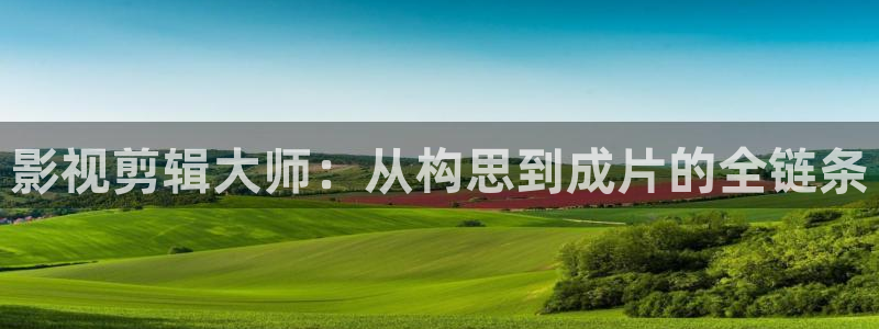 飘雪影视电影免费观看：影视剪辑大师：从构思到成片的全链条